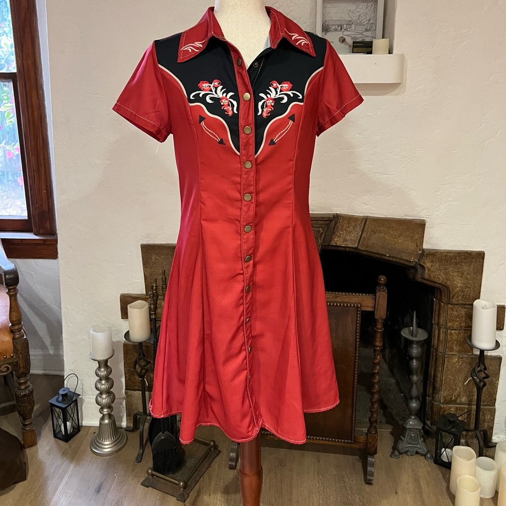 Vintage Country/Western Dress sz S